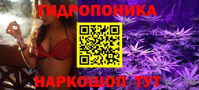 прущие грибы Нарткала