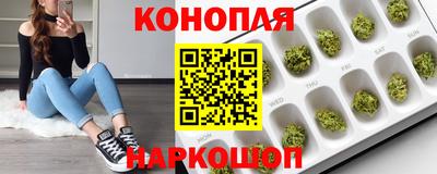 PSILOCYBIN Нальчик