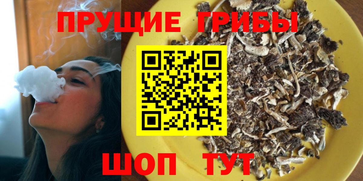 Псилоцибиновые грибы прущие грибы Углич