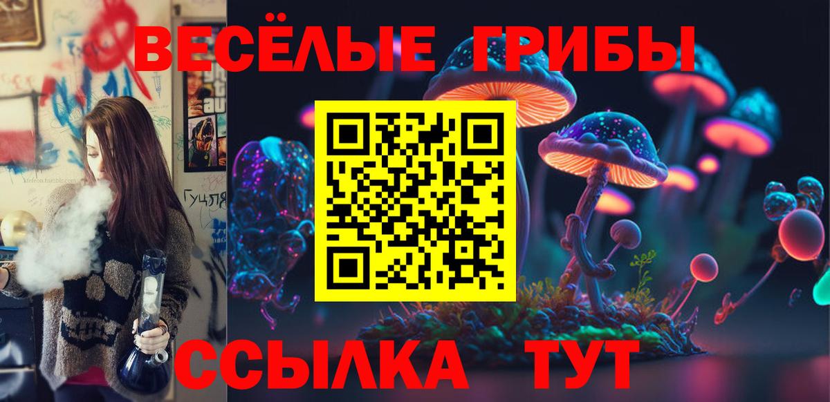 Углич  Псилоцибиновые грибы Cubensis  Вход с VPN 